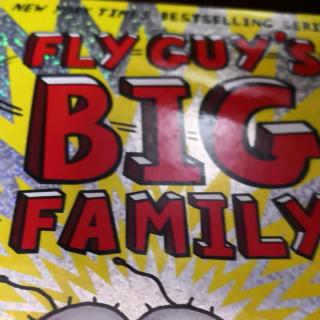 fly guy's big family
