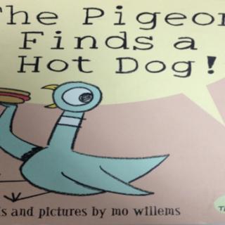 Alice读绘本 The Pigeon Finds a Hot Dog