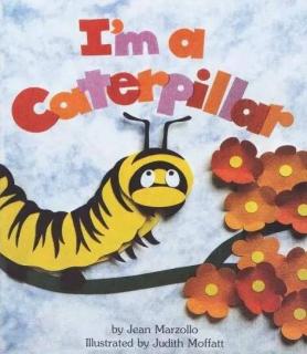 I am a caterpillar