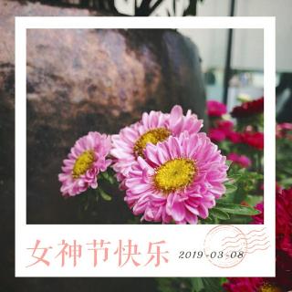 MOL 女神节特辑  2019-3-8