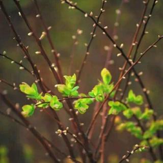 我在雨下等你