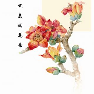 第五章 抱紧花蕊（12）上