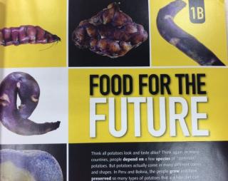 Food For the future