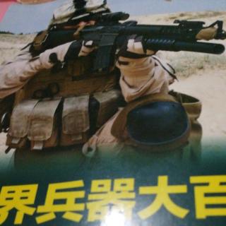 世界兵器大百科冷兵器枪械类