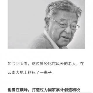 中国烟王 中国橙王91年的人生启示录
