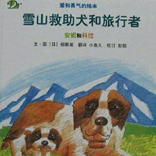 雪山救助犬和旅行者