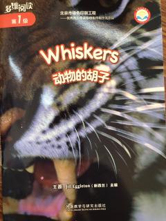 黄浩铭Whiskers