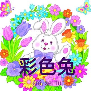 【第三季】vol.220睡前故事《彩色兔》（来自FM26209112)