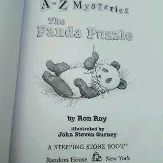 The Panda Puzzle 23