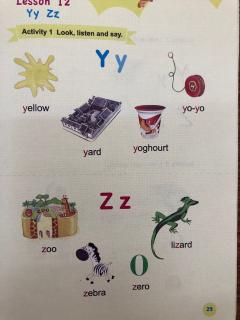 字母YZ