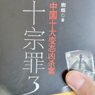 凶案小说十宗罪第三部1