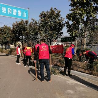 香山矿团委开展“3.12”植树节活动