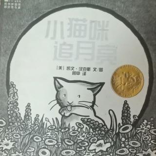 宜霖宝贝讲故事第157天《小猫咪追云亮》