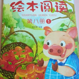 《绘本阅读----小花猪吃柿子》