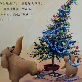 阳光宝宝幼儿园第211期《圣诞🎄节到了吗》