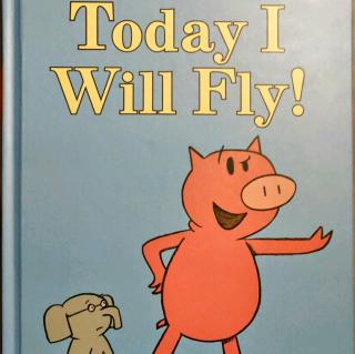 Today I will fly