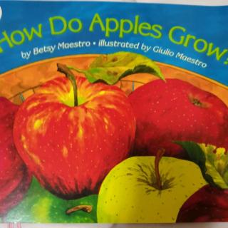 David 3-13 科学2How DO Apples Grow