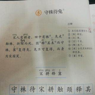 三年级下册  5守株待兔  简约朗读