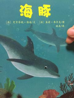 亲亲科学图书馆-海豚🐬