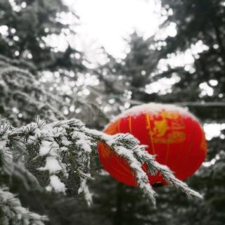 陇东，一场雪