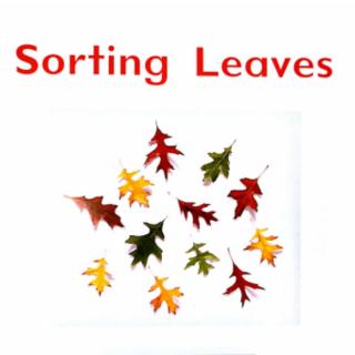 Sorting Leaves