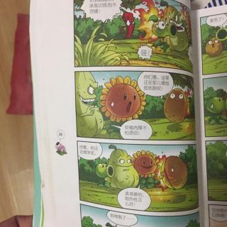烤爆的坚果－植物大战僵尸极品爆笑漫画疯狂橄榄球