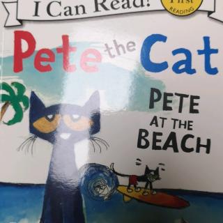 10-Pete the Cat Pete at the Beach