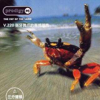 V.220 张牙舞爪的赛博朋克-The Prodigy《The Fat Of The Land》