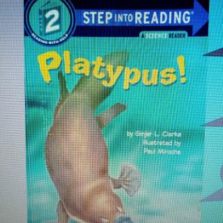 platypus前部分单词拼读课文朗读