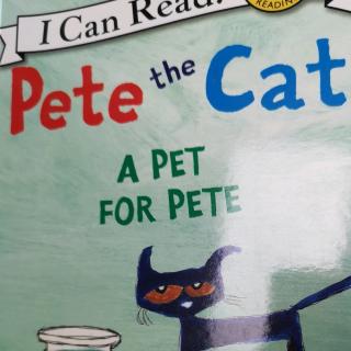 11-A Pet for Pete