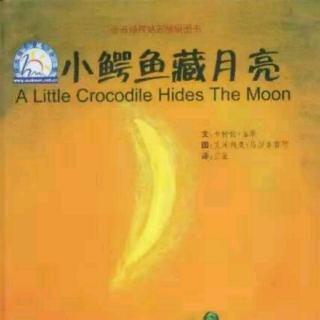 朱曲双语幼儿园的晚安故事127《小鳄鱼藏月亮》