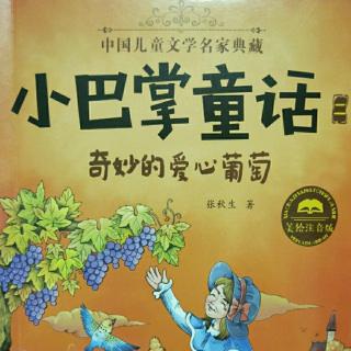 睡前故事379——《灰狼和狐狸的伞》