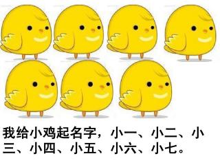 我给小鸡起名字