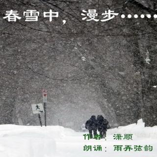 春雪中，漫步……