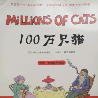 100万只猫