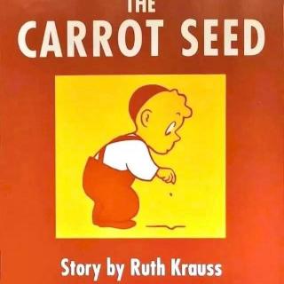 【爱丽丝读童书】胡萝卜种子 The carrot seed