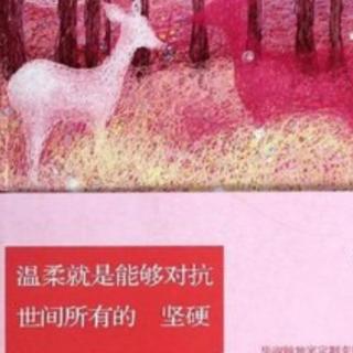 《我在寻找那片野花》