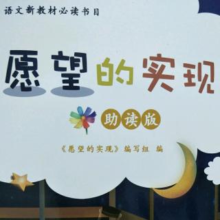 愿望的实现——导读