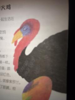 4🈷️7日 爱吃🌺的🦃️