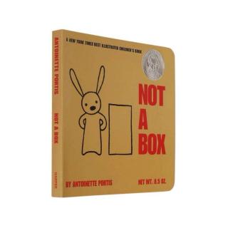 Not a box- Antoinette Portis