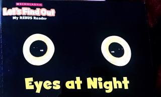 第二周绘本 eyes at night