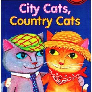  【凯西讲兰登】 City Cats Country Cats 城市猫，乡村猫