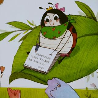 【昆虫的日记】瓢虫的日记