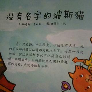 睡前故事之《没有名字的波斯猫》