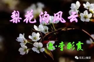 《梨花沟风云》之·黑风寨 ·第二集