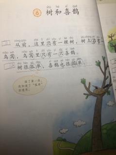 42-张澍欣-《树和喜鹊》第一、二节朗读