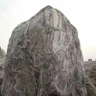 【3 丑石】在线收听_此时花开彼时荼的