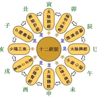 未时当属小肠经,宁心安神兼活络