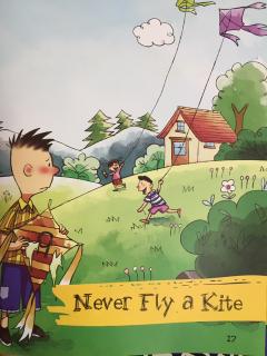 20190320 Never fly a kite