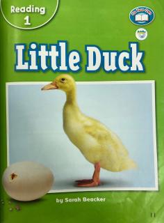 G1-U4-Reading 1-Little Duck